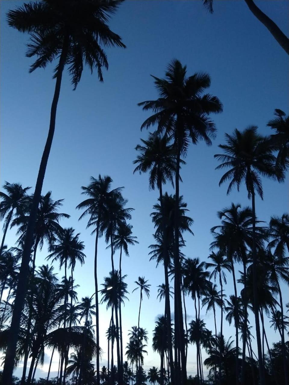 Hotel D'Anatureza Maceió Exteriér fotografie